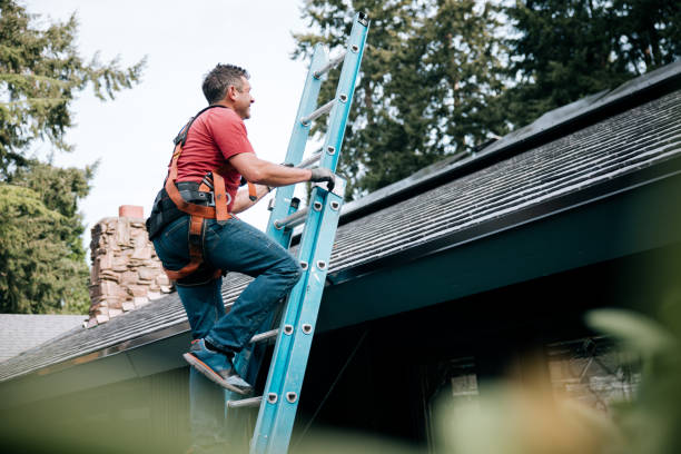 Best Chimney Flashing Repair  in Potomac Mills, VA