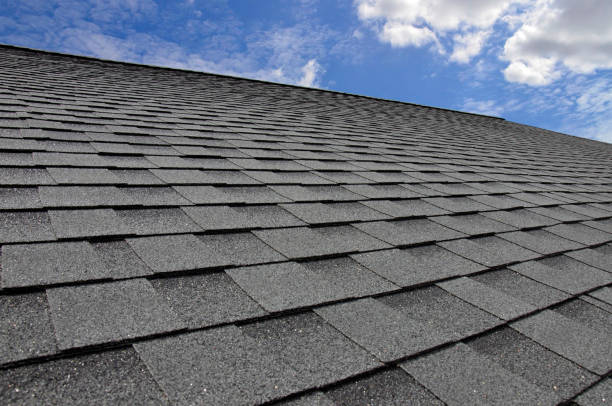 Best Skylight Installation and Repair  in Potomac Mills, VA